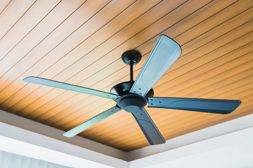 Ceiling Fan Installation