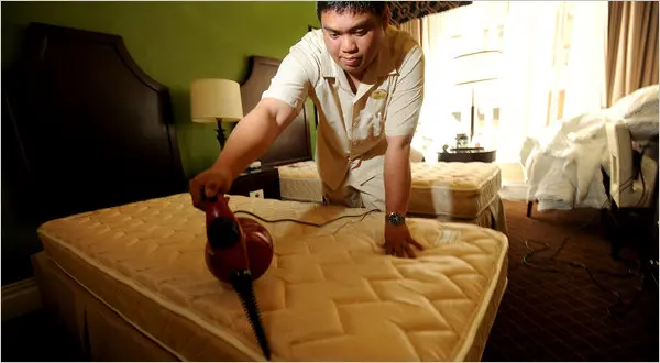 Eliminate Bed Bugs